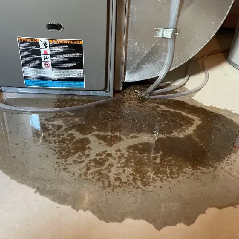 Appliance Leak Cleanup in Savage, MD